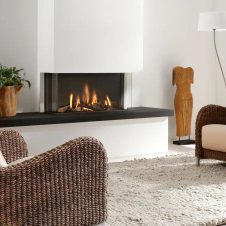 Imagen Producto Chimenea de Gas Trisore 100