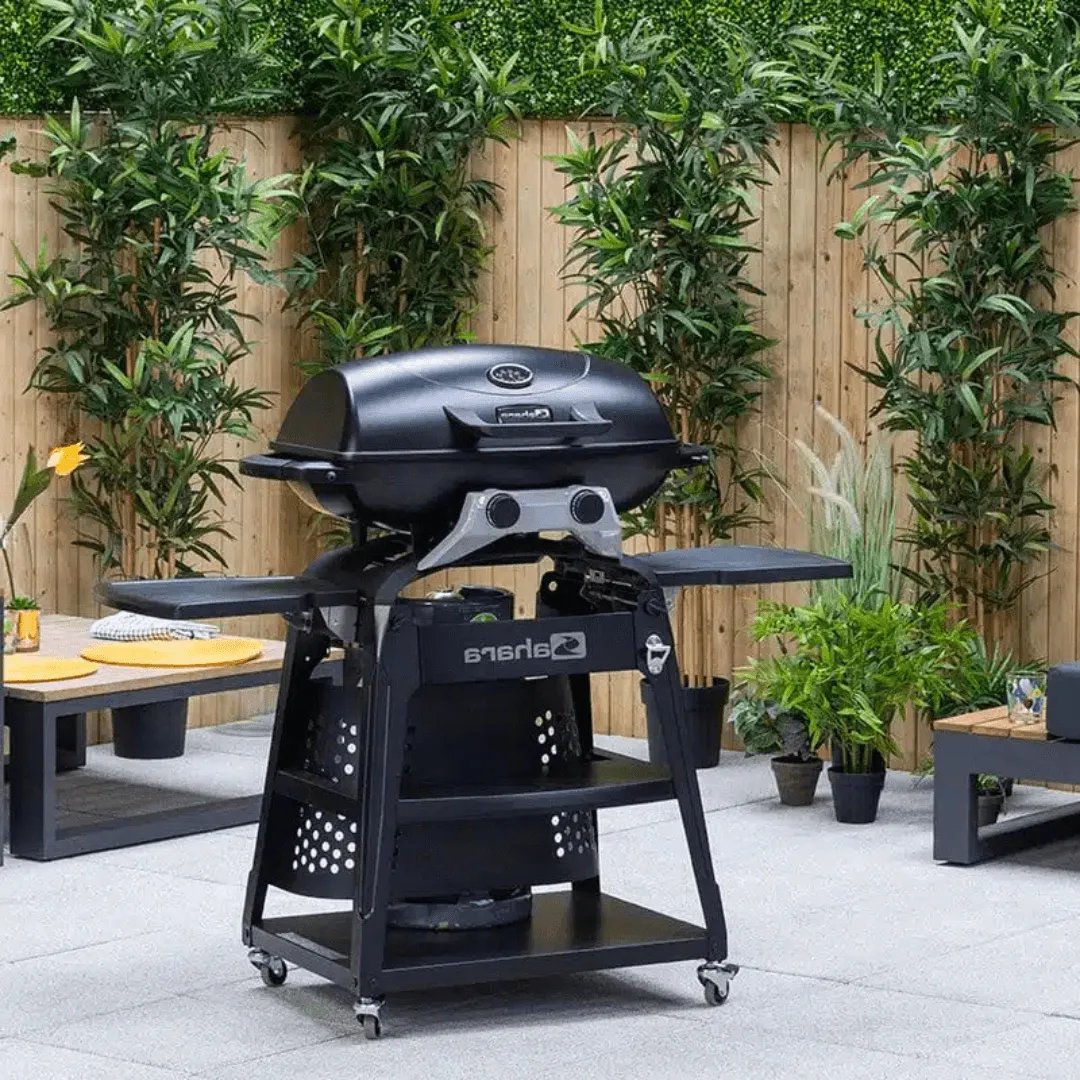 Barbacoa de Gas 2 Quemadores